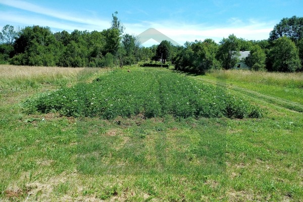 Zemljište s građevinskom dozvolom - Medak, Gospić