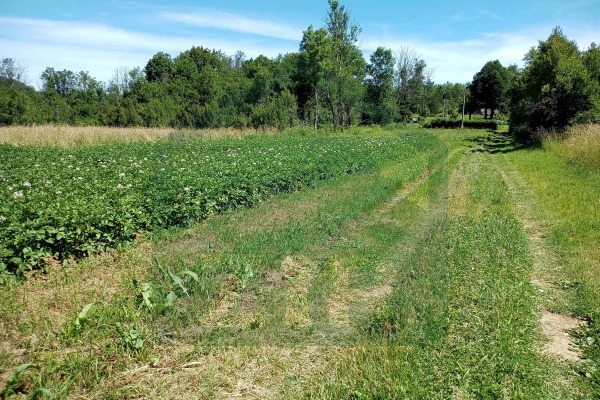 Zemljište s građevinskom dozvolom - Medak, Gospić