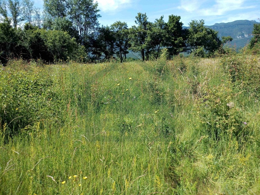 ZIR nekretnineA4