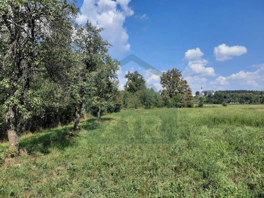 ZIR nekretnine14