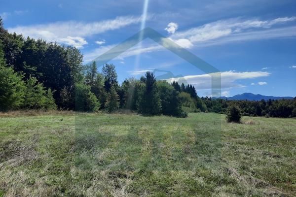 Poljoprivredno zemljište Gospić, 11104 m²