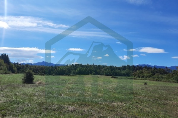 Poljoprivredno zemljište Gospić, 11104 m²