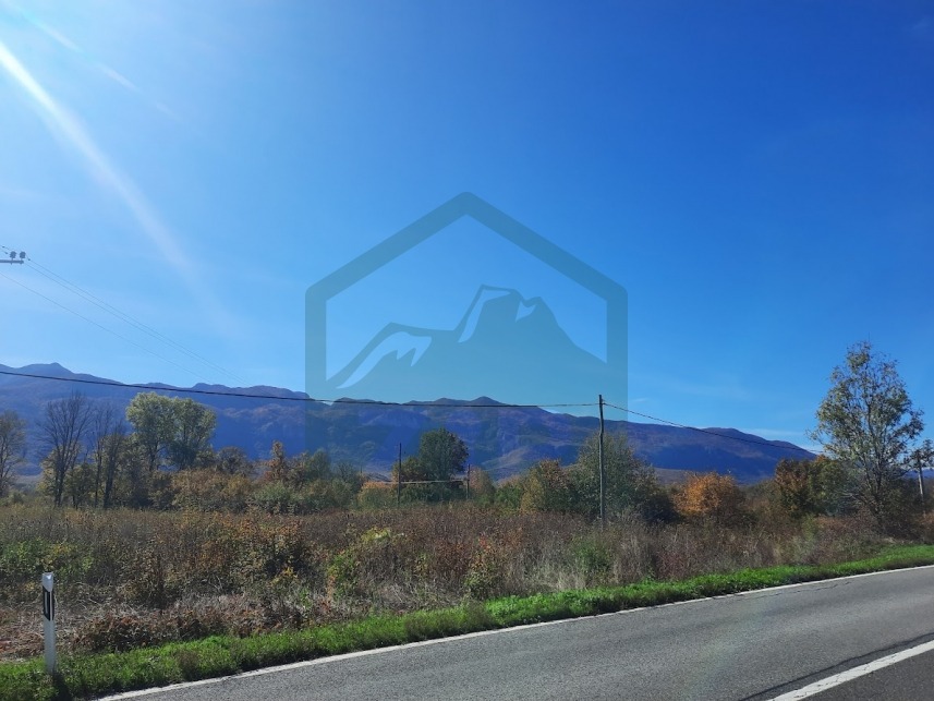 ZIR real estate2