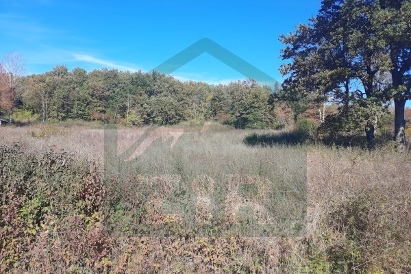 Building Land Medak, 10,729m²