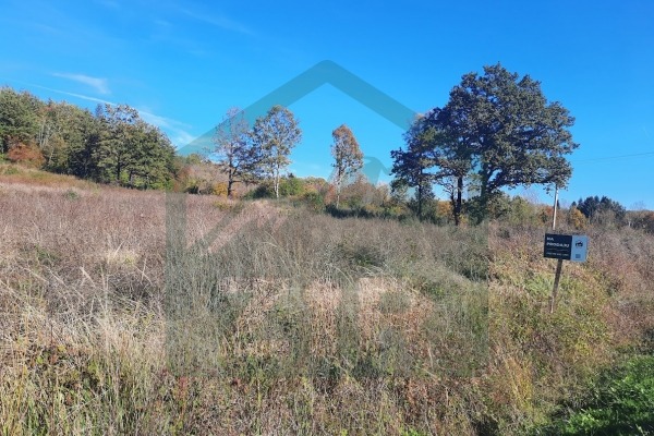 Building Land Medak, 10,729m²