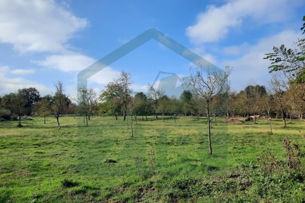 Građevinsko zemljište u Perušiću, površine 11035 m²