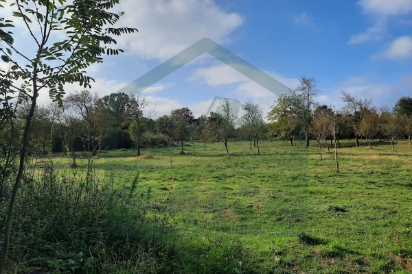 Građevinsko zemljište u Perušiću, površine 11035 m²