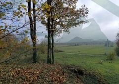 ZIR nekretnine2