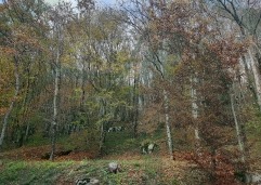 ZIR nekretnine4