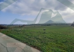 ZIR nekretnine7