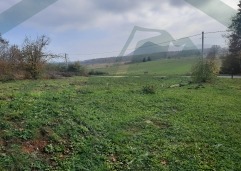 ZIR nekretnine8