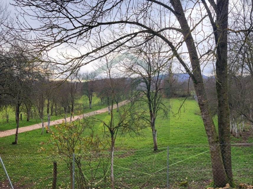 ZIR nekretnine24