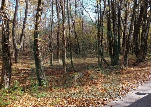 ZIR nekretnine1