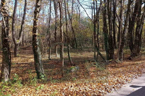 Zemljište Ličko Cerje, Lovinac, površina 25904 m²