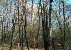 ZIR nekretnine2