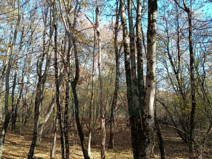 ZIR nekretnine2