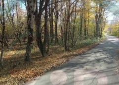 ZIR nekretnine3