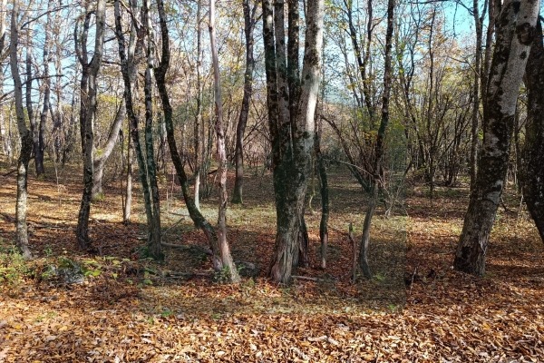 Zemljište Ličko Cerje, Lovinac, površina 25904 m²
