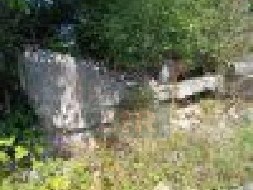 ZIR nekretnine2-2 small