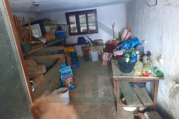 Kuća, tri pomoćna objekta, voćnjak i zemljište u Lici, Gospić