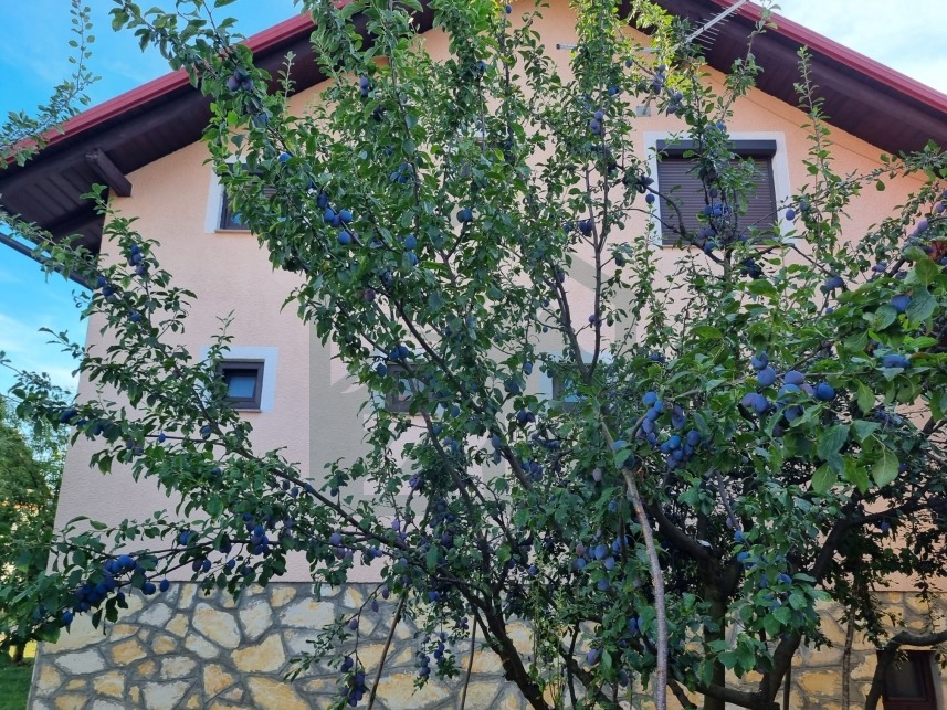 ZIR nekretnine21