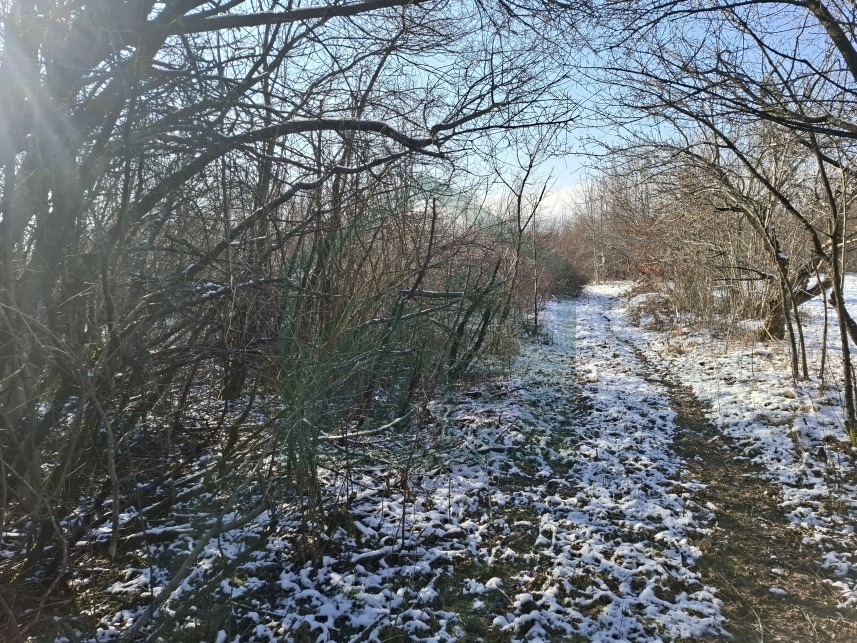ZIR nekretnine4
