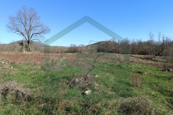 Zemljište Vrebac površine 5000 m²,  stara kuća i štala!