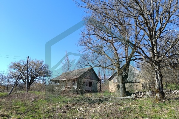 Zemljište Vrebac površine 5000 m²,  stara kuća i štala!