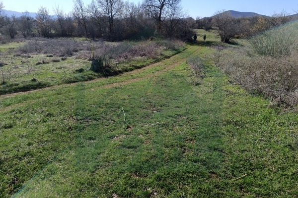 Zemljište Vrebac površine 5000 m²,  stara kuća i štala!