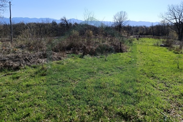 Zemljište Vrebac površine 5000 m²,  stara kuća i štala!