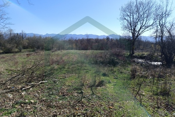 Zemljište Vrebac površine 5000 m²,  stara kuća i štala!