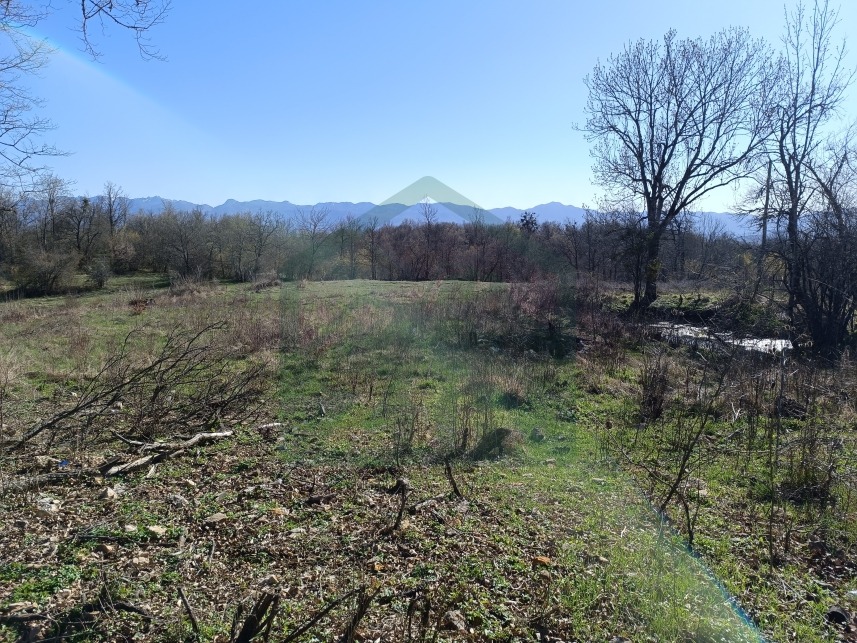 ZIR nekretnine9