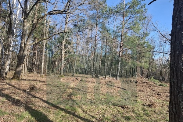 Zemljište u Divoselu, više od 45000mᒾ!