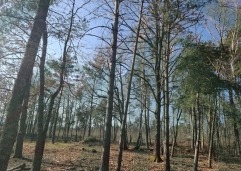 ZIR nekretnine11
