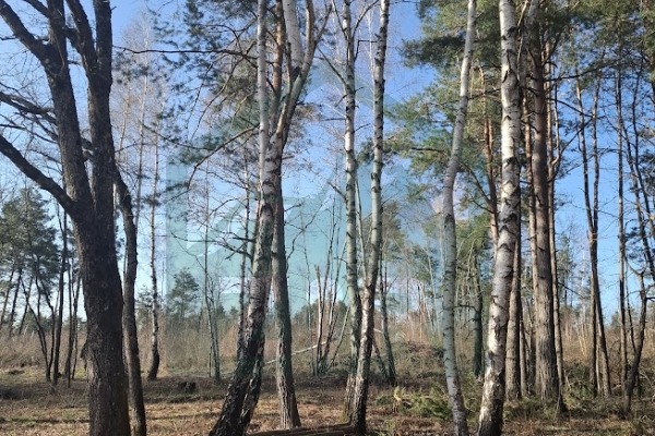 Zemljište u Divoselu, više od 45000mᒾ!
