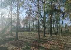 ZIR nekretnine2