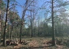 ZIR nekretnine4