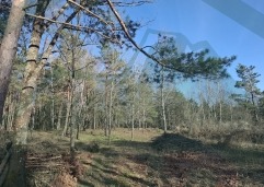 ZIR nekretnine7