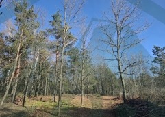 ZIR nekretnine9
