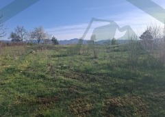 ZIR nekretnine6