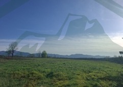ZIR nekretnine8