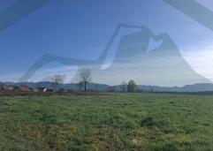 ZIR nekretnine9