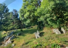 ZIR nekretnineGradevinsko-zemljiste-malo 2