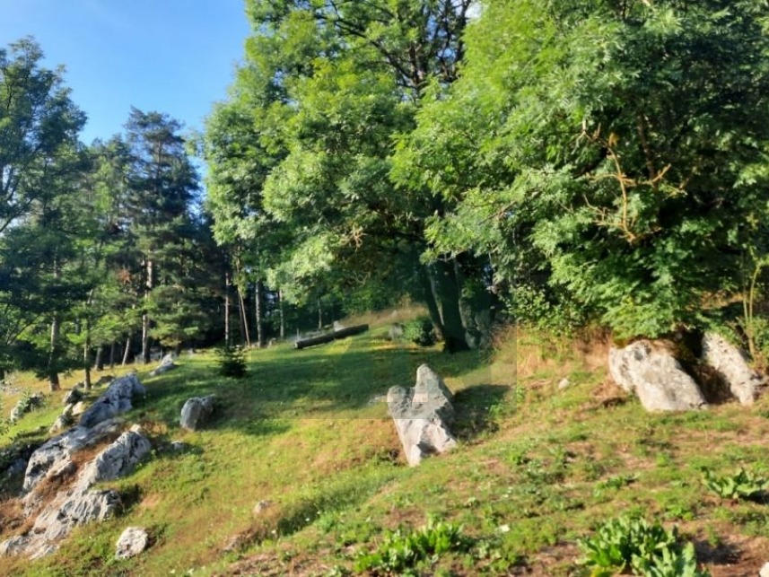 ZIR nekretnineGradevinsko-zemljiste-malo 2