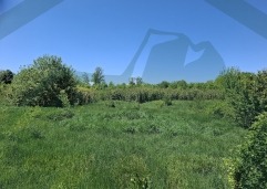 ZIR nekretnine7