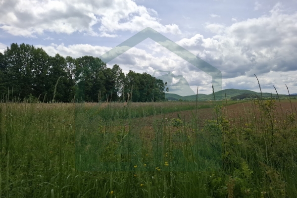 Poljoprivredno zemljište 5000 m², Perušić