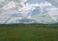 ZIR nekretnine4