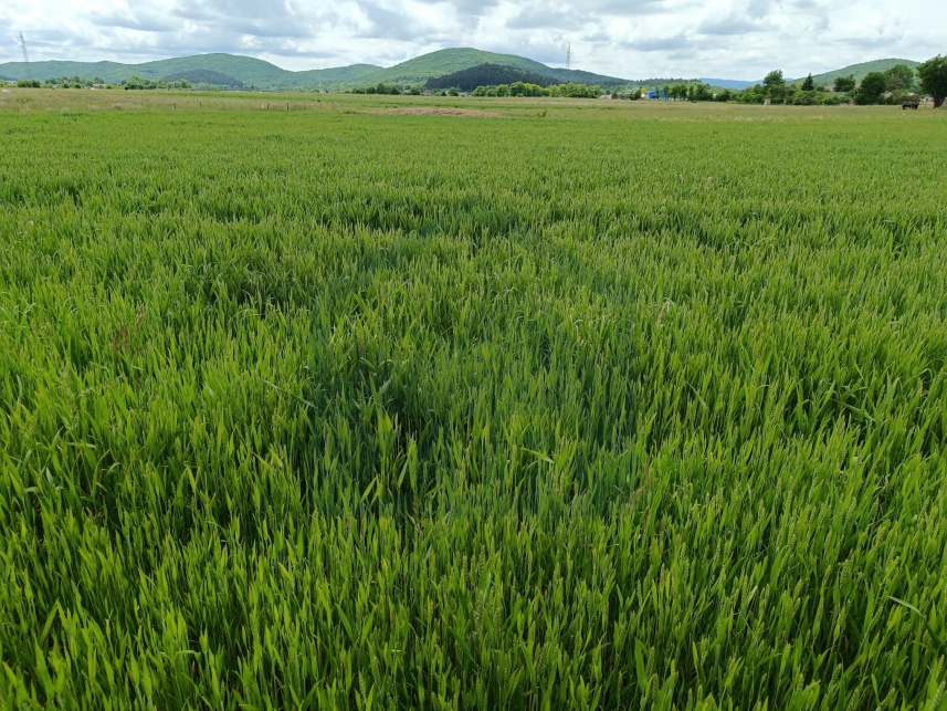 ZIR nekretnine6