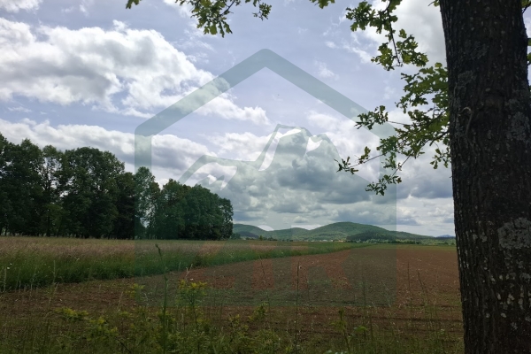 Poljoprivredno zemljište 5000 m², Perušić