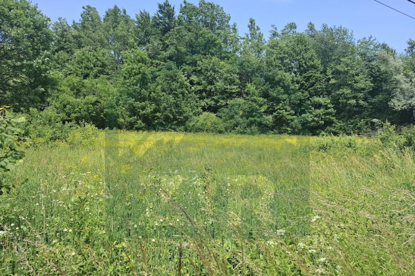Land in Rizvanuša – Attractive Location in a Natural Setting!